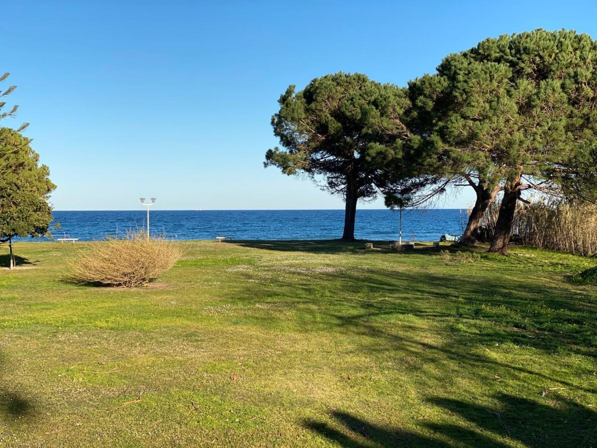 Residence Santa Lucia, Studio Avec Piscine , Vue Mer Et Pied Dans L'Eau , Moriani-Plage Екстер'єр фото